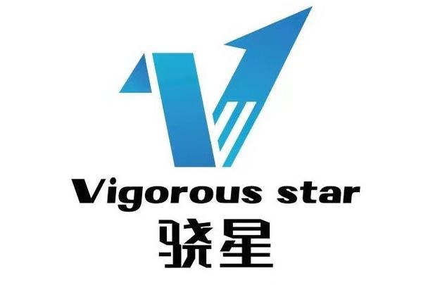 浙江驍星科技 數(shù)字化轉(zhuǎn)型中的專業(yè)信息咨詢服務(wù)與價值創(chuàng)造